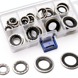 Nomocale Air Compressor Gaskets Black 30 PCS-0