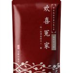 Historical Fiction Kindle eBook Yi Ya Publishing with 366 Pages-0