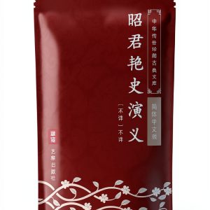Historical Fiction Chinese Kindle eBook by YiYa Publishing 66 Pages-0